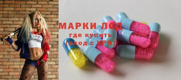 твердый Арсеньев