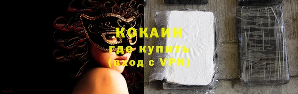твердый Арсеньев