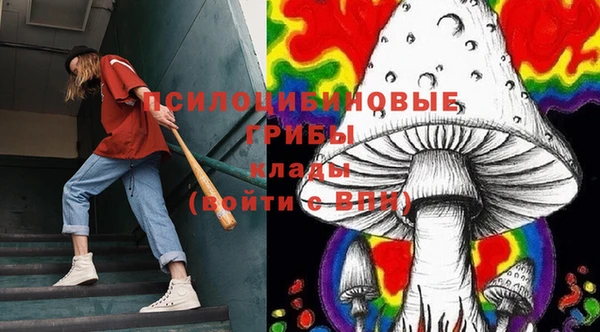 твердый Арсеньев