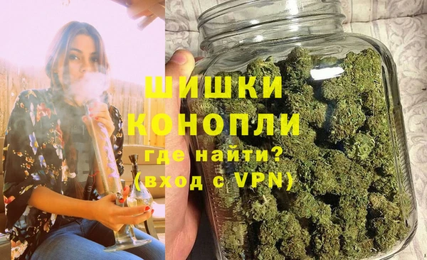 твердый Арсеньев