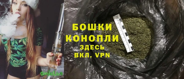 винт Аркадак