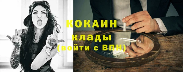 твердый Арсеньев